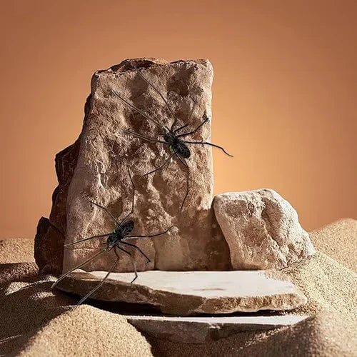 Spider Fridge Magnet